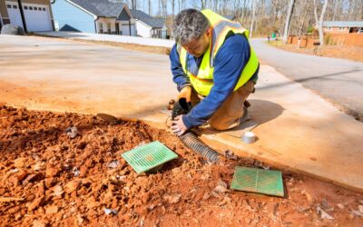 Signs Your Driveway Has Drainage Problems: What to Look Out For