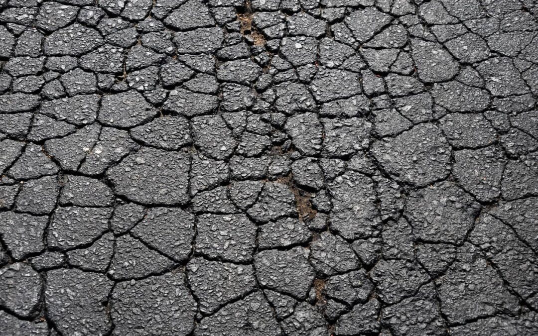 What Is Alligator Cracking in Asphalt? Everything You Need to Know